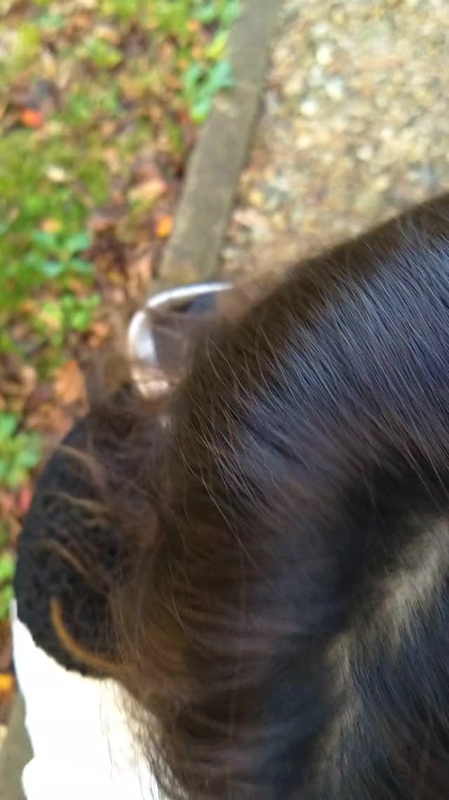 Amateur Japanese Girl Giving me a Blowjob in a Public Park in Japan