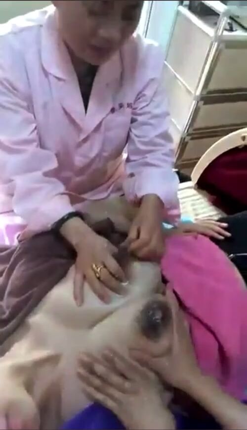 CLEARLY… I chose the wrong profession